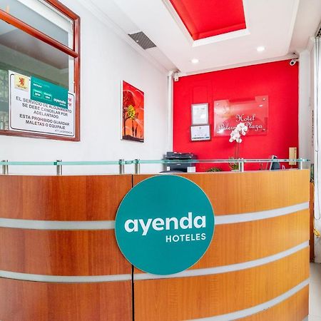 Ayenda Palermo Plaza Hotel Bogotá Eksteriør billede